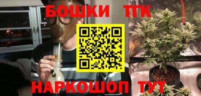 ECSTASY Шелехов