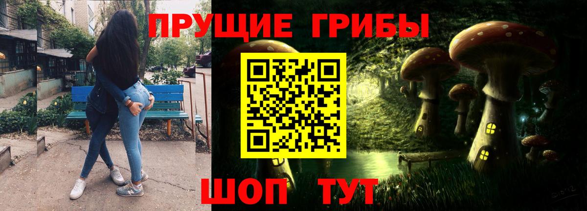 Белебей  Псилоцибиновые грибы Cubensis  Вход с VPN 